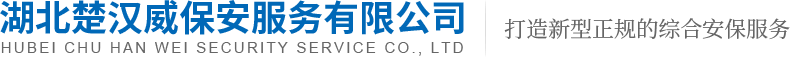武漢皮帶機設計